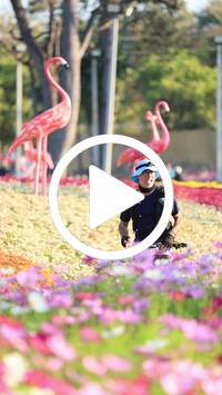 BIB:  <button type="button" onclick="openModal(27583410)" class="btn btn-primary btn-sm float-right" data-toggle="modal" data-target=".modal-high-quality">
                <i class="fa fa-download"></i> Download
                </button>